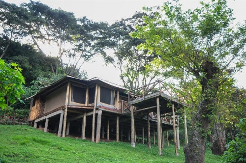 Karama Lodge image 17