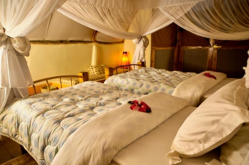 Karama Lodge image 3